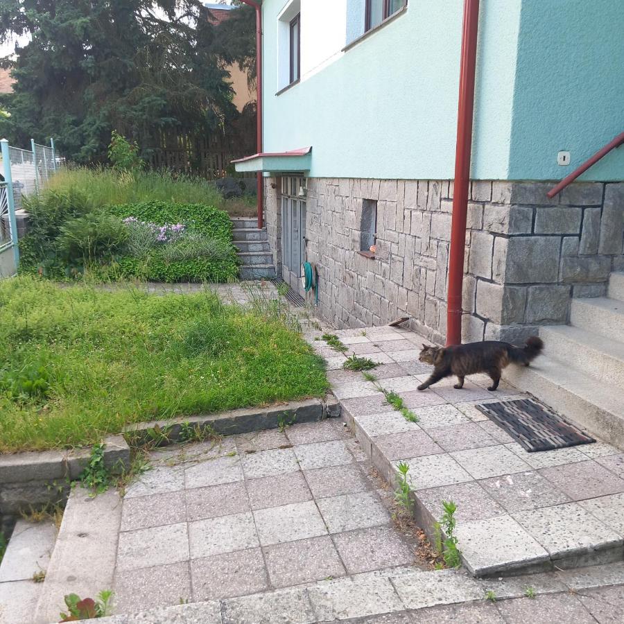 Apartment In The City Of Pilsen Bozkov ภายนอก รูปภาพ
